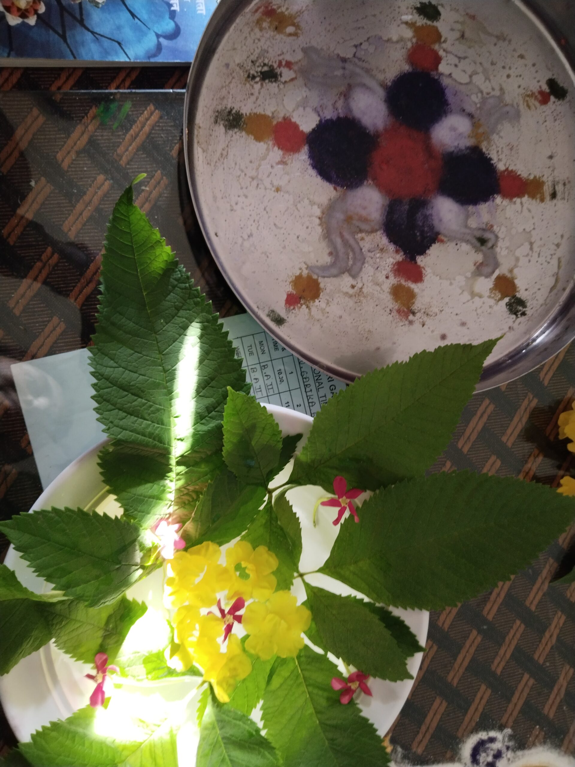 department teach the students many types of rangoli 2022